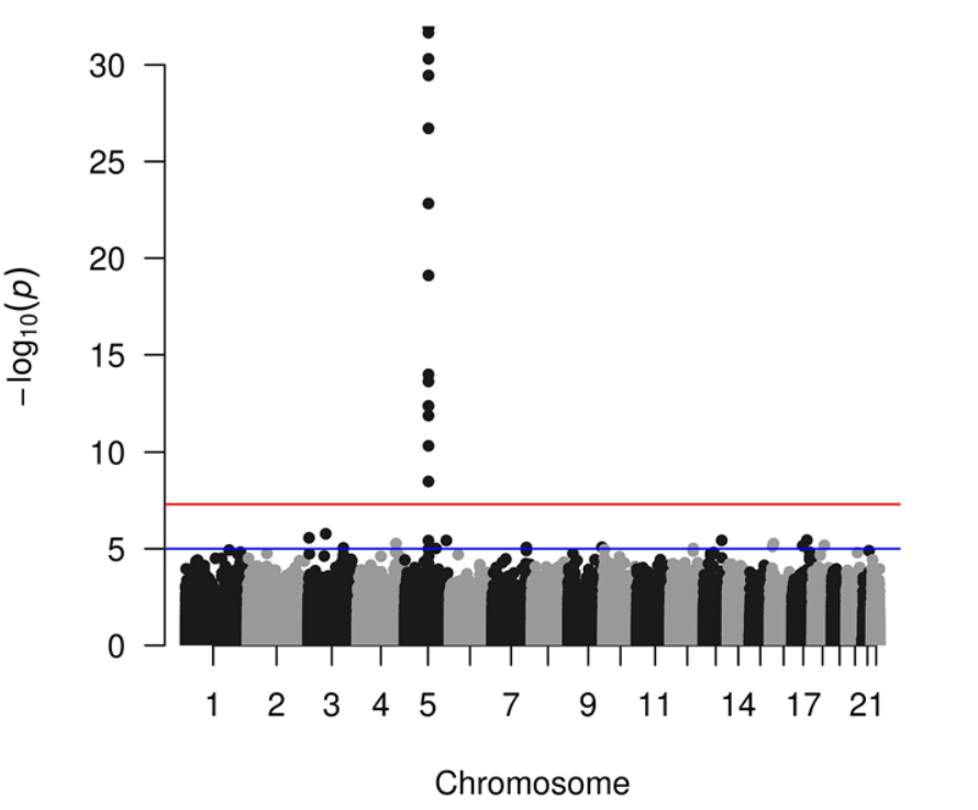 Statistical Learning of Large-Scale Genetic Data: How to Run a Genome-Wide Association Study of Gene-Expression Data Using the 1000 Genomes Project Data paper illustration